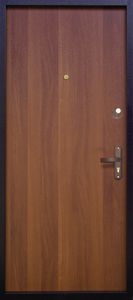Одностворчатая дверь (порошок + ламинат) (DP-002)