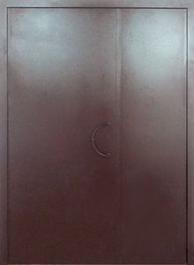 Дверь порошковое напыление с двух сторон (DP-144)